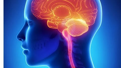 Brain MRI Finds Hispanic Patients Develop More Aggressive MS