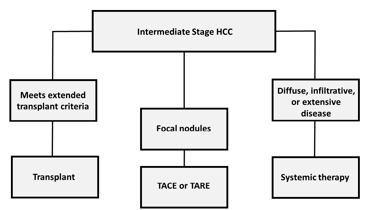 Figure 1. Three subgroups of patients with intermediate stage (or stage B) HCC. Adapted from Reig M, Forner A, Rimola J, et al. BCLC strategy for prognosis prediction and treatment recommendation: The 2022 update. J Hepatol. 2022;76(3):681-693.