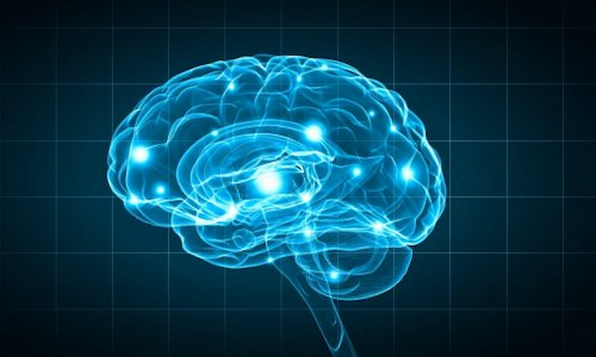 AI Combination of Brain MRI and Cognitive Assessments May Predict aMCI Progression to Alzheimer’s Dementia