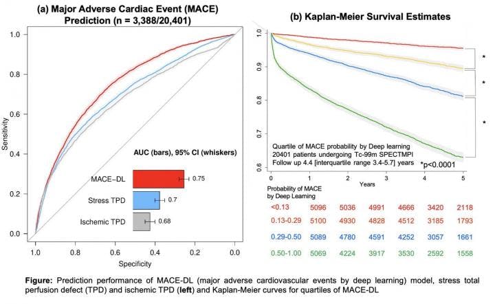 Prediction performance of DL compared to quantitative measures and Kaplan-Meier curves for quartiles of DL.

Credit: Image created by Singh et al., Cedars-Sinai Medical Center, Los Angeles, CA.