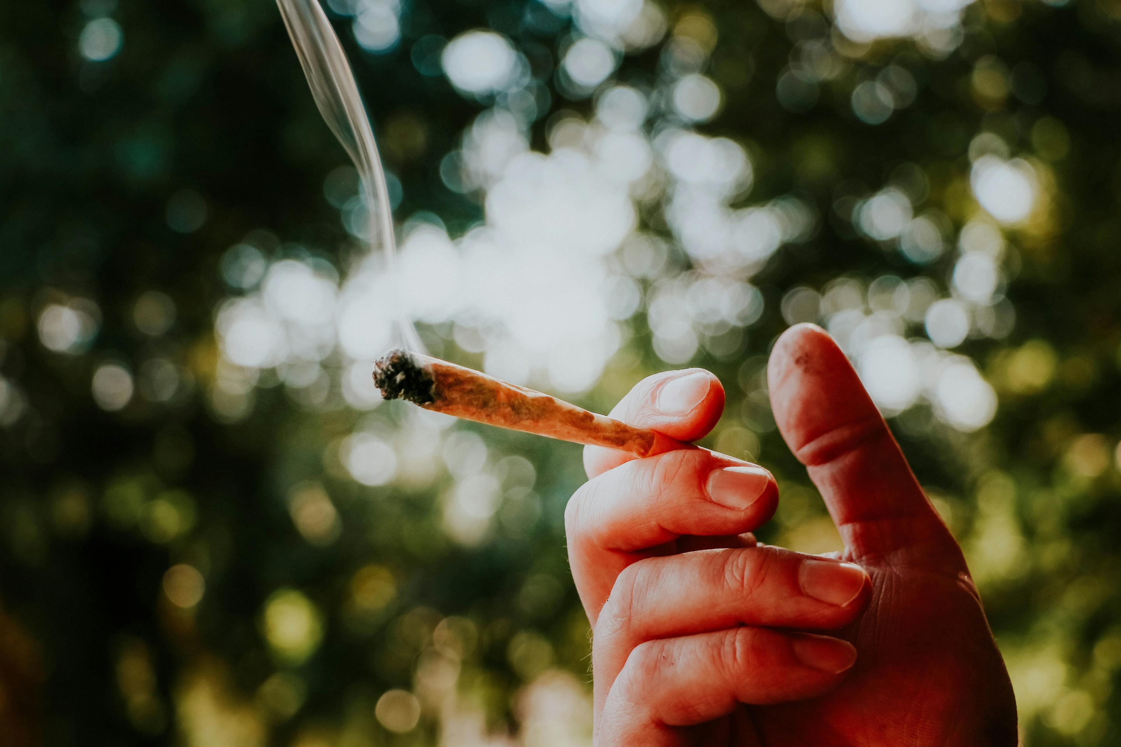 Chest CT Shows More Emphysema in Marijuana Smokers