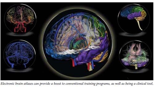 Electronic brain atlases emerge as clinical and educational tool