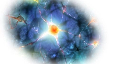Alzheimer’s Energy Metabolism Biomarker Revealed with 7T MRI