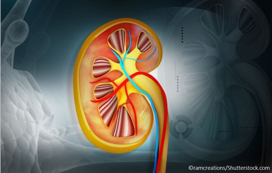 Blood Flow Changes Found in Children with Chronic Kidney Disease